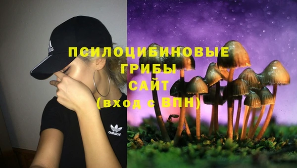 винт Алзамай